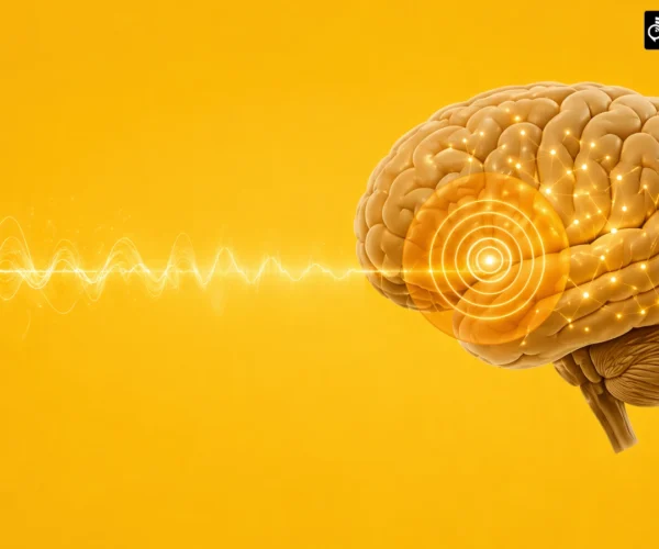 77 Hearing Aid Saves Your Cognitive Overload In Hearing